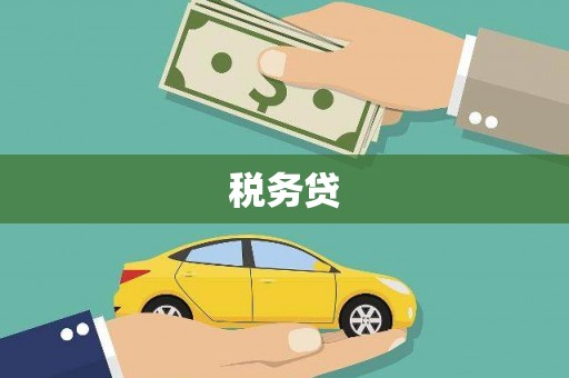 元氏税务贷