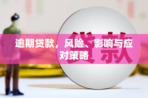 元氏逾期贷款，风险、影响与应对策略