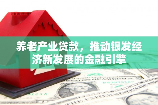 元氏养老产业贷款，推动银发经济新发展的金融引擎