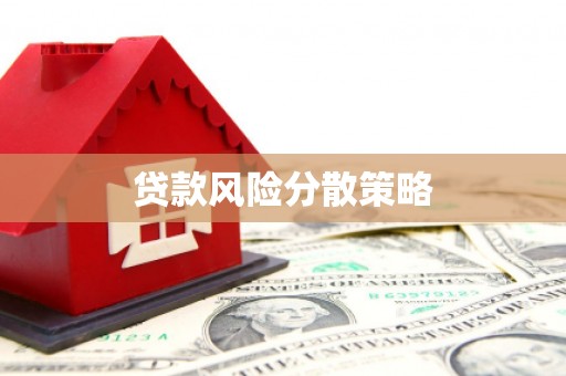 元氏贷款风险分散策略