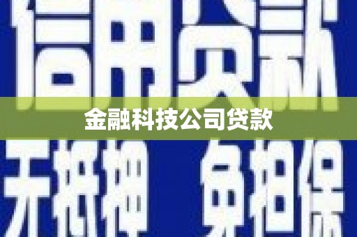 元氏金融科技公司贷款