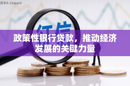 元氏政策性银行贷款，推动经济发展的关键力量