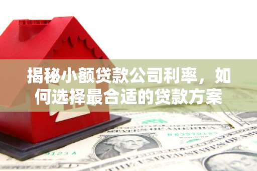 元氏揭秘小额贷款公司利率，如何选择最合适的贷款方案