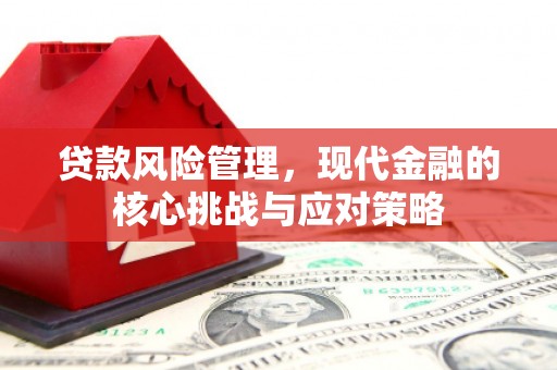 元氏贷款风险管理，现代金融的核心挑战与应对策略