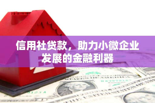 元氏信用社贷款，助力小微企业发展的金融利器