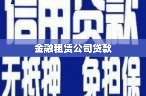 元氏金融租赁公司贷款