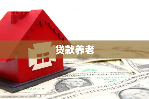 元氏贷款养老