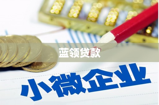 元氏蓝领贷款
