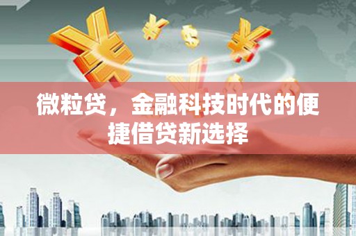 元氏微粒贷，金融科技时代的便捷借贷新选择