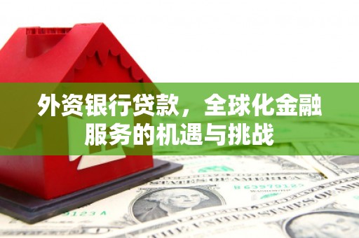 元氏外资银行贷款，全球化金融服务的机遇与挑战