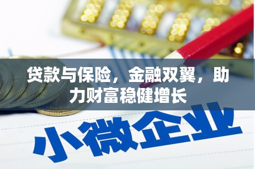 元氏贷款与保险，金融双翼，助力财富稳健增长